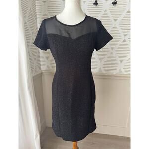 Black Silver Sparkle Women’s Medium Sheer Dress